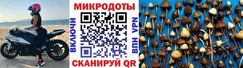 Галлюциногенные грибы Magic Shrooms  KRAKEN ONION  Миньяр 